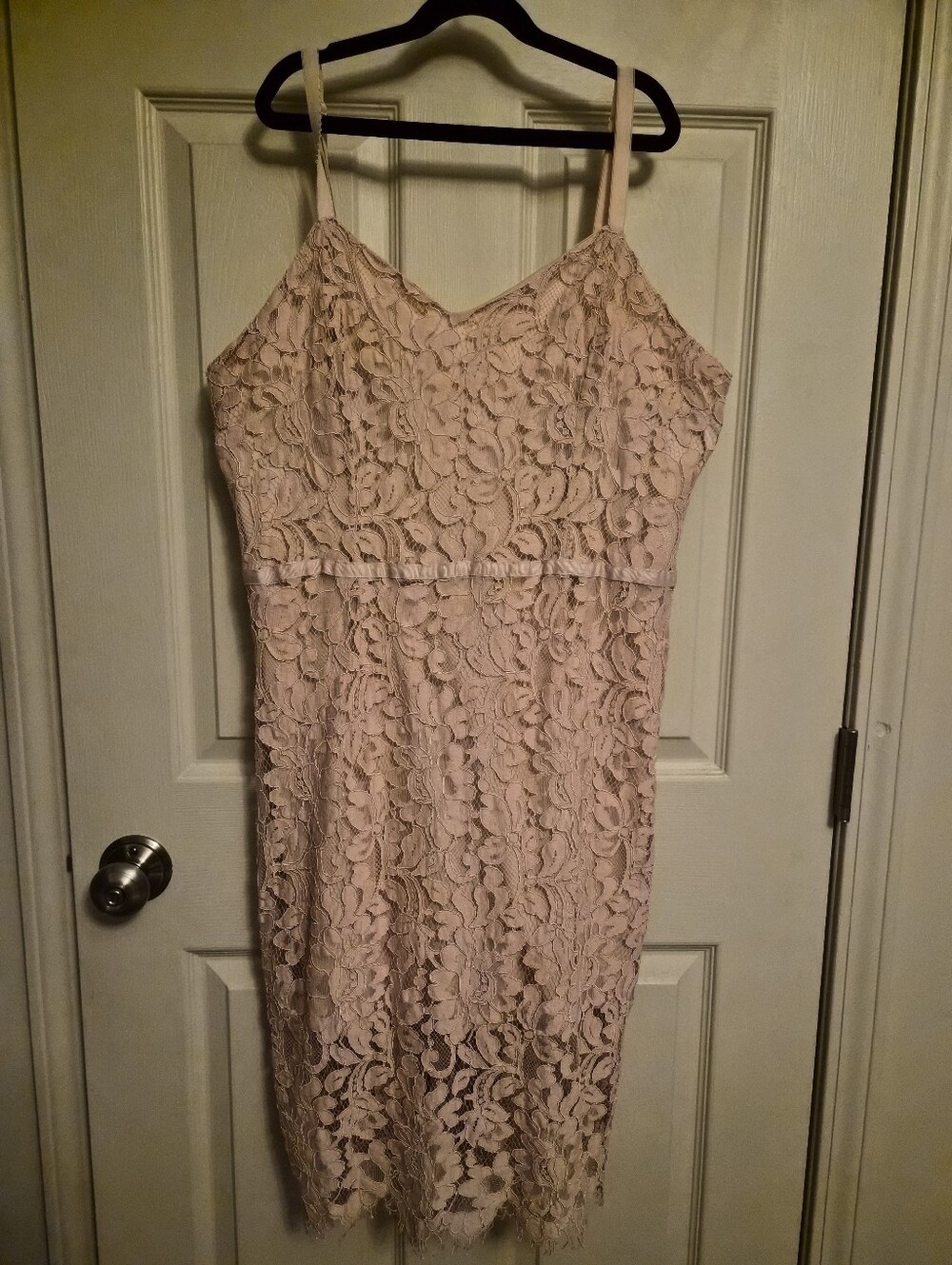 Simply Styled Lace Midi Dress in Light Blush